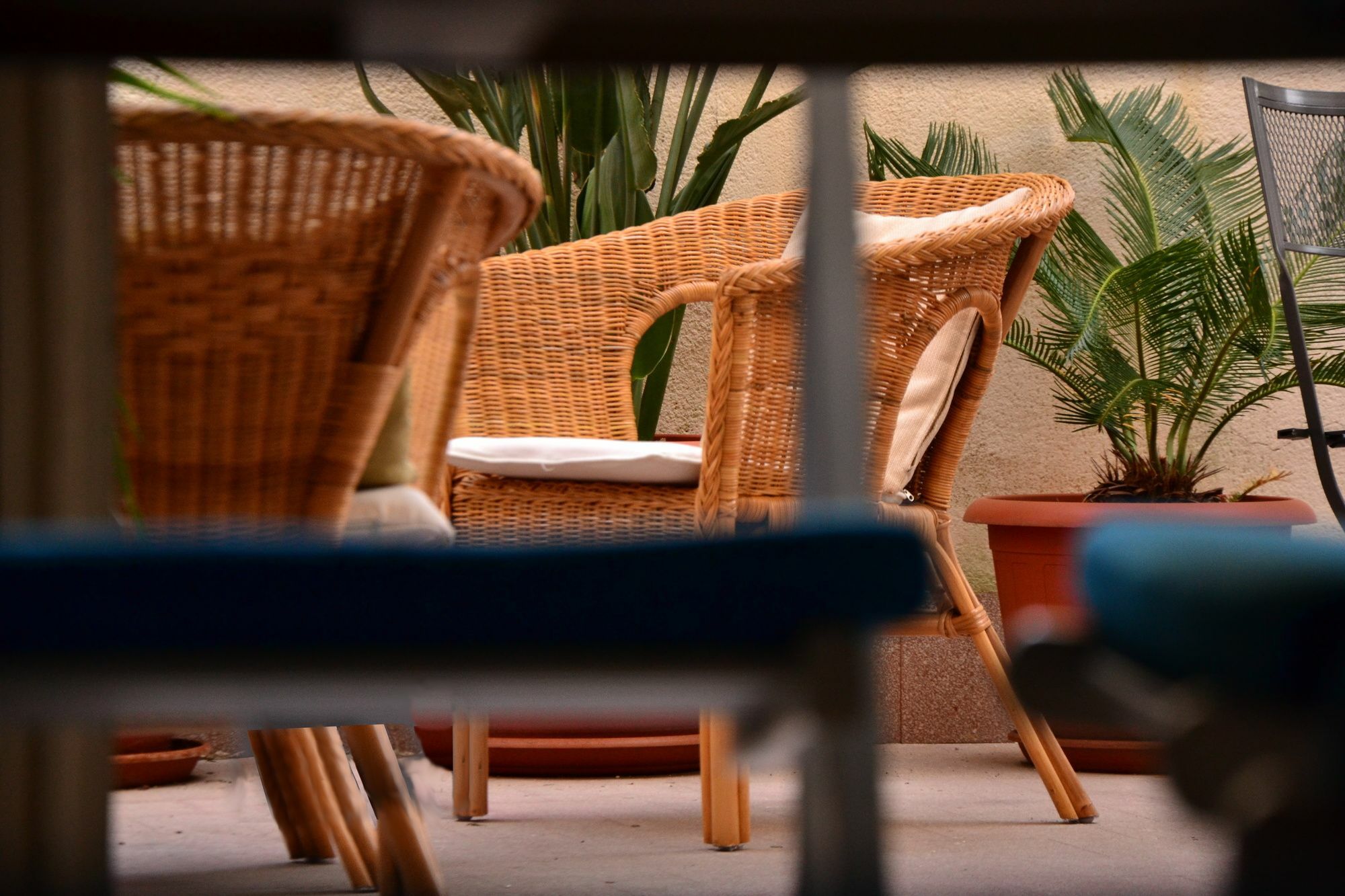 Hotel Il Lapino à Palerme Extérieur photo